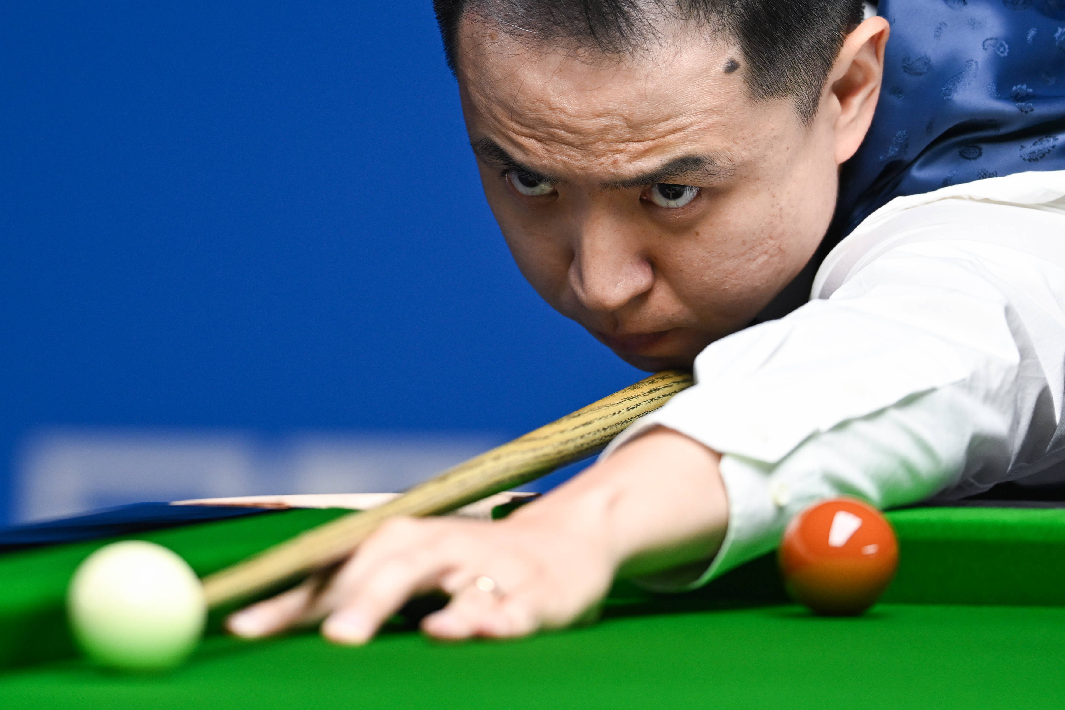 赛观赏性 赛观赏性